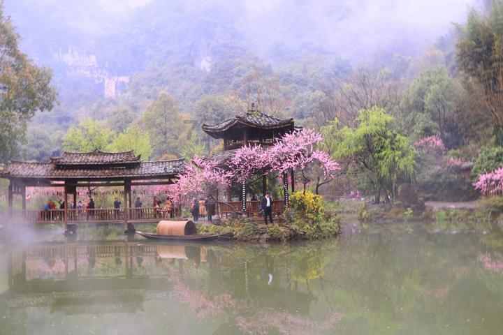 雷竞技比分